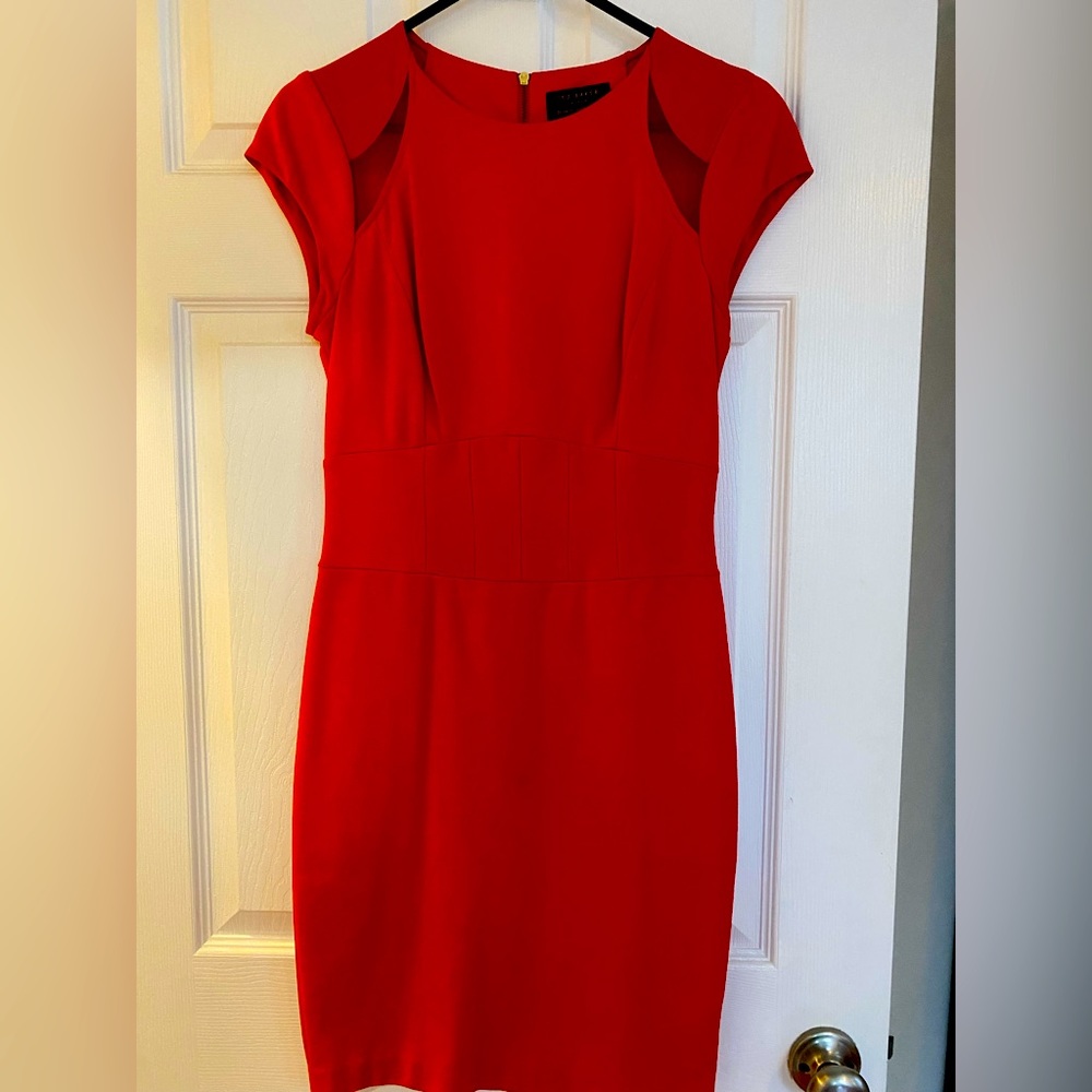 Ted Baker Dress